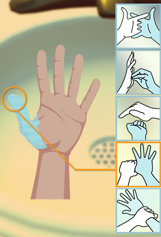 Map of the hand, with the left thumb highlighted, and a line connecting this area to the scrub move that cleans it.