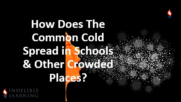 How Does Common Cold Spreads in Schools & Other Crowded Places