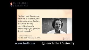 Curiosity Is the Fuel of Genius